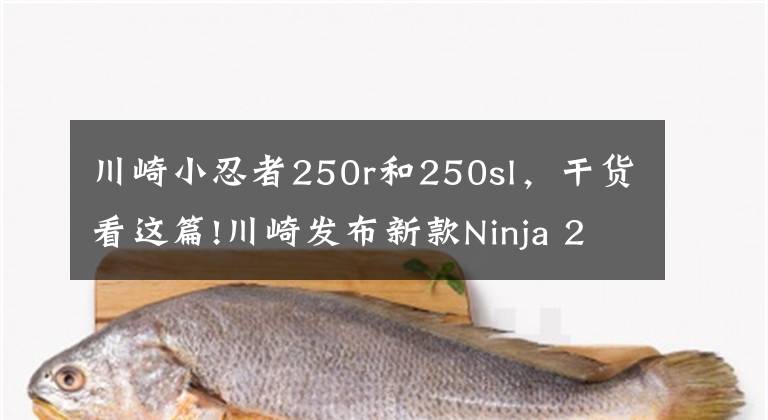 川崎小忍者250r和250sl，干货看这篇!川崎发布新款Ninja 250，只不过这次是单缸的SL