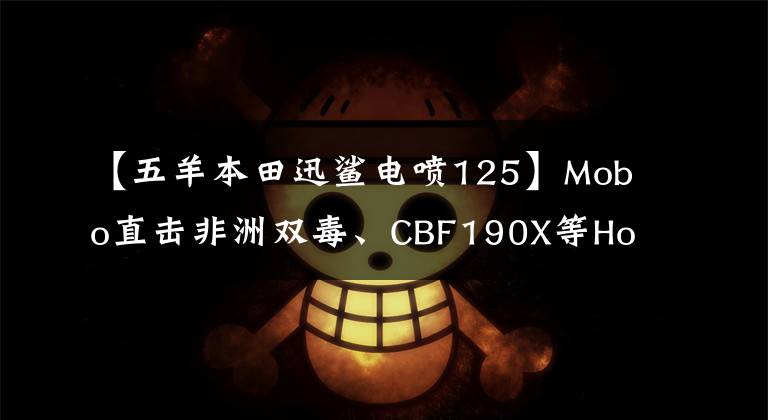 【五羊本田迅鲨电喷125】Mobo直击非洲双毒、CBF190X等Honda车型登上舞台。
