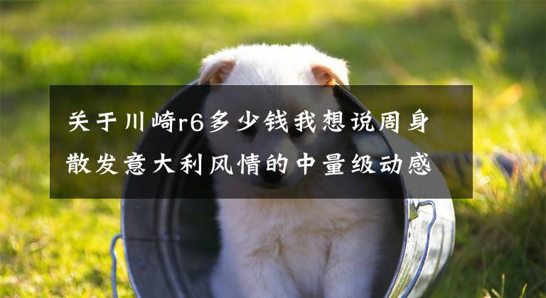 关于川崎r6多少钱我想说周身散发意大利风情的中量级动感超跑：阿普利亚RS 660/TUONO 660