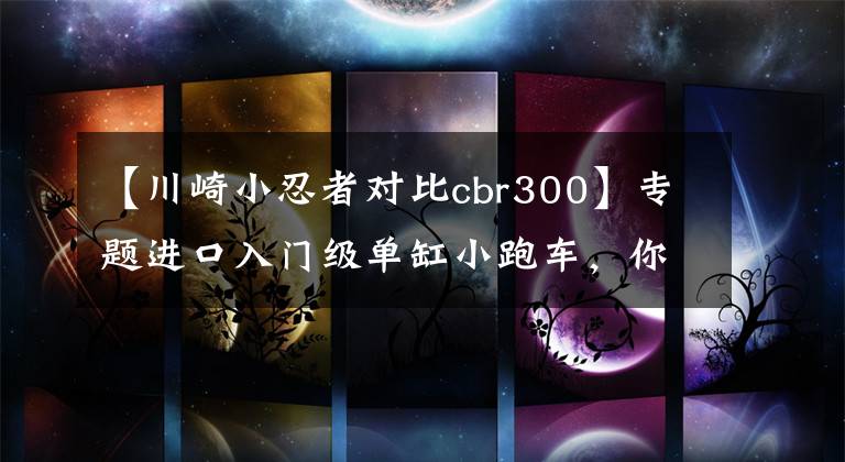【川崎小忍者对比cbr300】专题进口入门级单缸小跑车，你选谁？