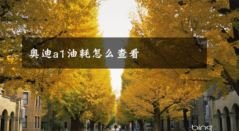 奥迪a1油耗怎么查看