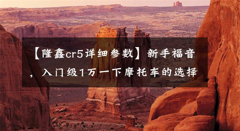 【隆鑫cr5详细参数】新手福音，入门级1万一下摩托车的选择！