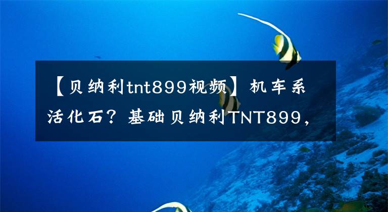 【贝纳利tnt899视频】机车系活化石？基础贝纳利TNT899，信任是企业最大的财富。