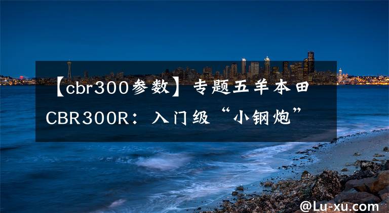 【cbr300参数】专题五羊本田CBR300R：入门级“小钢炮”