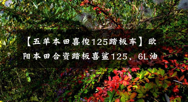 【五羊本田喜俊125踏板车】欧阳本田合资踏板喜鲨125，6L油箱，皮带传动，新品6580韩元