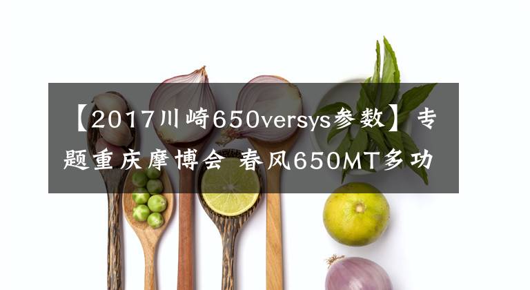 【2017川崎650versys参数】专题重庆摩博会 春风650MT多功能旅行车实拍