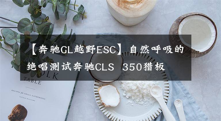 【奔驰GL越野ESC】自然呼吸的绝唱测试奔驰CLS  350猎板