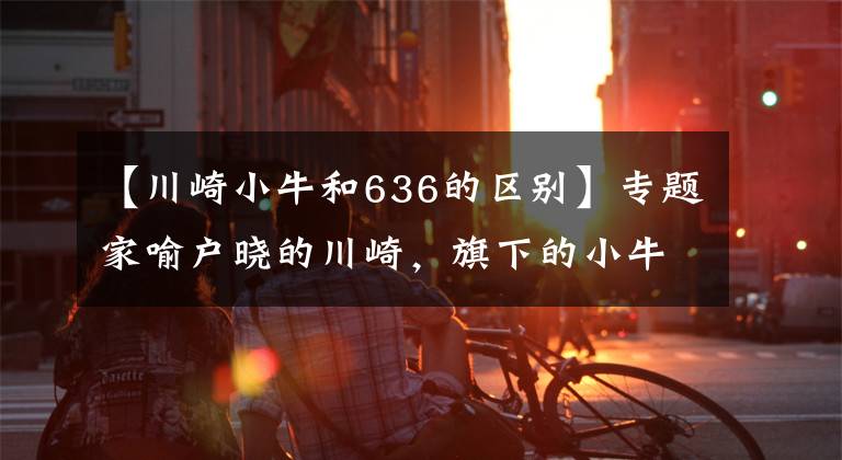 【川崎小牛和636的区别】专题家喻户晓的川崎，旗下的小牛忍者一样霸气！