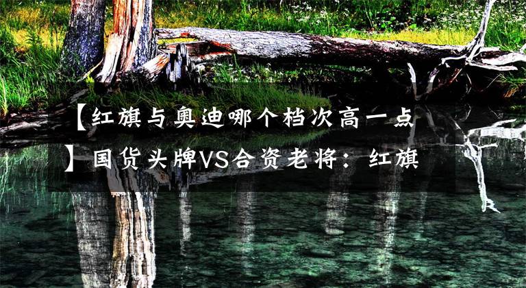 【红旗与奥迪哪个档次高一点】国货头牌VS合资老将：红旗H9对比奥迪A6L谁更值得买？