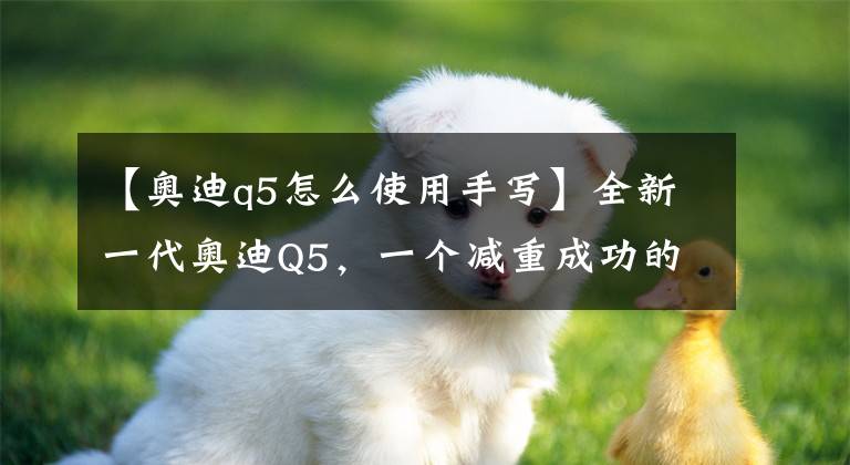 【奥迪q5怎么使用手写】全新一代奥迪Q5，一个减重成功的灵活胖子?