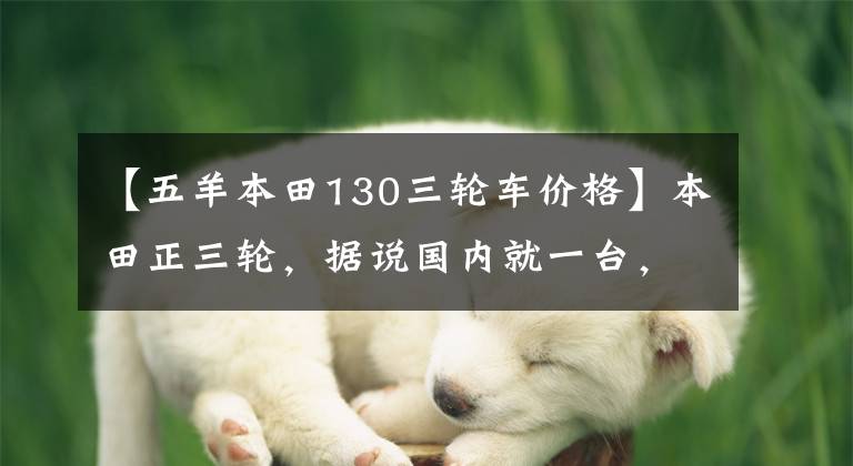 【五羊本田130三轮车价格】本田正三轮，据说国内就一台，小伙万元入手，却被骂人傻钱多