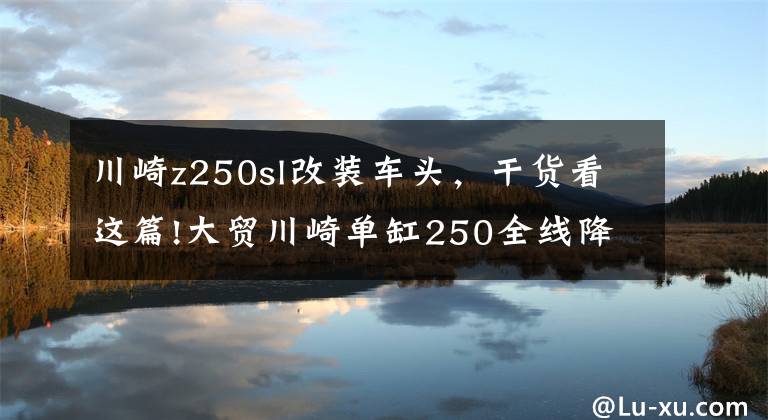 川崎z250sl改装车头，干货看这篇!大贸川崎单缸250全线降价！Z250SL跌破三万！