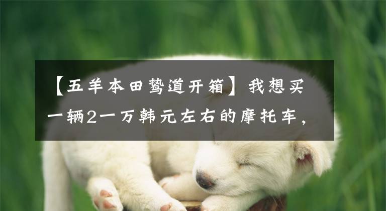 【五羊本田鸷道开箱】我想买一辆2一万韩元左右的摩托车，质量好，请推荐一下