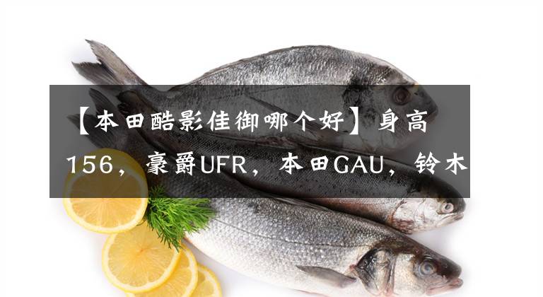 【本田酷影佳御哪个好】身高156，豪爵UFR，本田GAU，铃木U，山河旭鹰，怎么选？