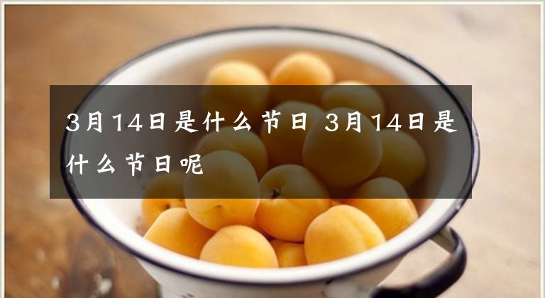 3月14日是什么节日 3月14日是什么节日呢