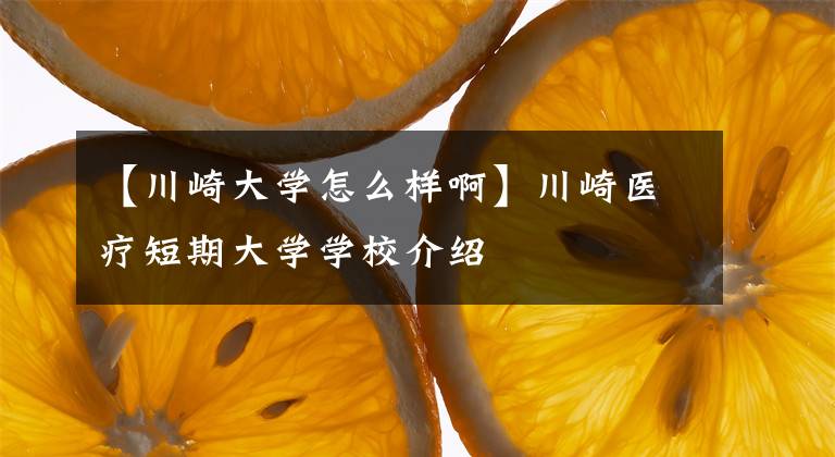 【川崎大学怎么样啊】川崎医疗短期大学学校介绍