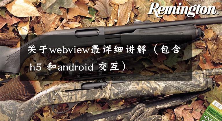 关于webview最详细讲解（包含 h5 和android 交互）