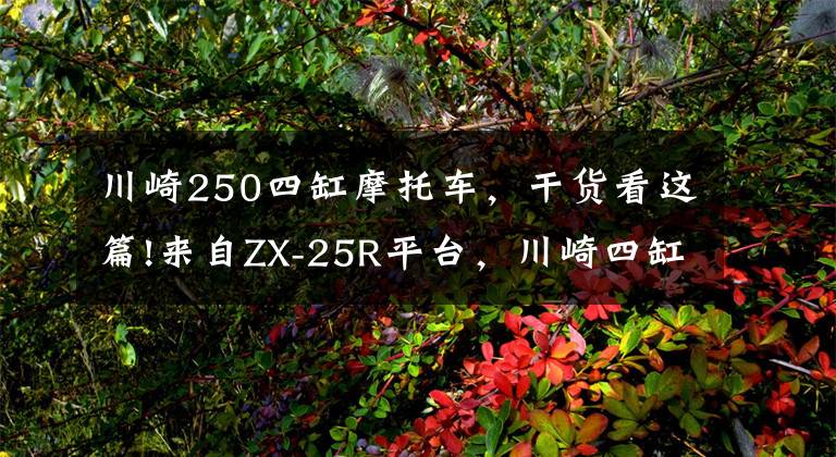 川崎250四缸摩托车，干货看这篇!来自ZX-25R平台，川崎四缸街车Z250有望诞生