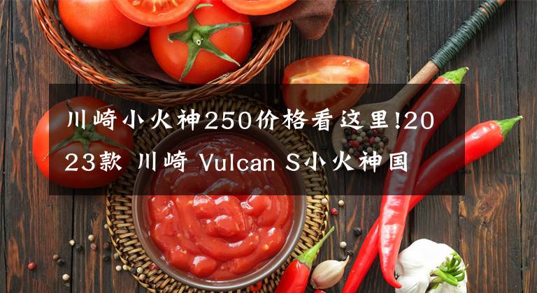 川崎小火神250价格看这里!2023款 川崎 Vulcan S小火神国内上市，全新配色！
