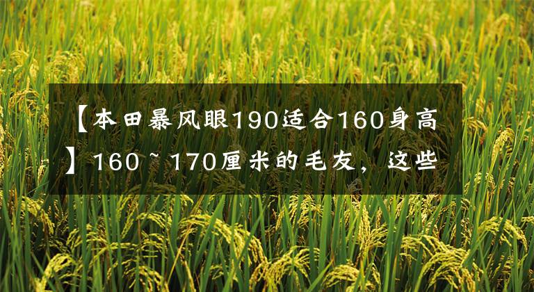 【本田暴风眼190适合160身高】160 ~ 170厘米的毛友，这些车，你选择了谁作为小情人？
