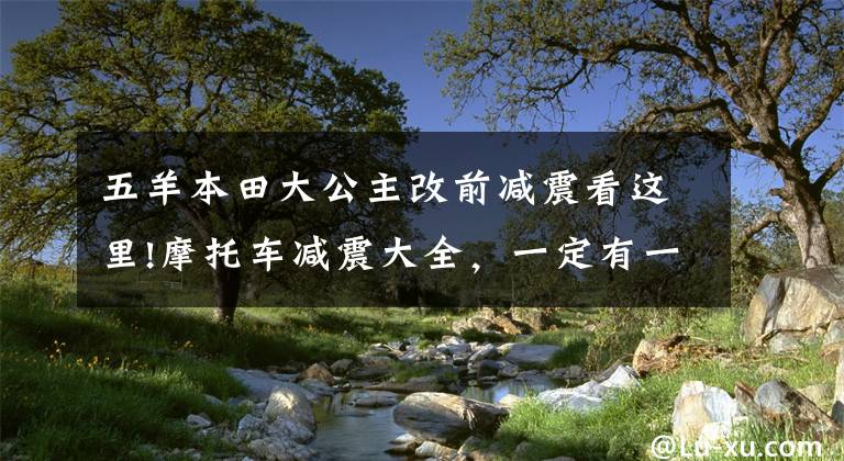 五羊本田大公主改前减震看这里!摩托车减震大全，一定有一种你没见过！