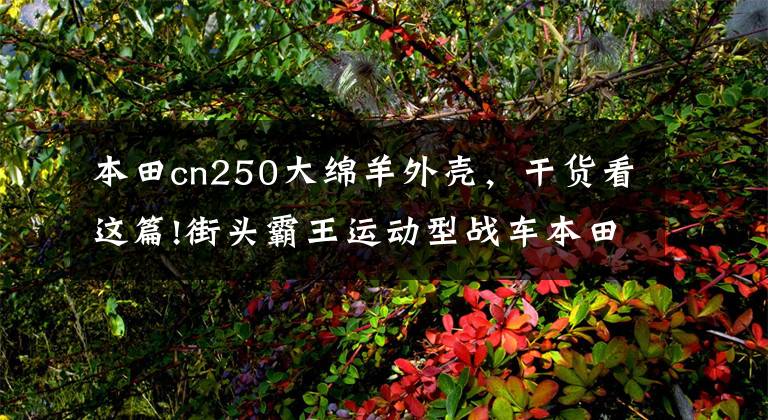 本田cn250大绵羊外壳，干货看这篇!街头霸王运动型战车本田CB250F，城市间穿梭游刃有余那叫一带劲