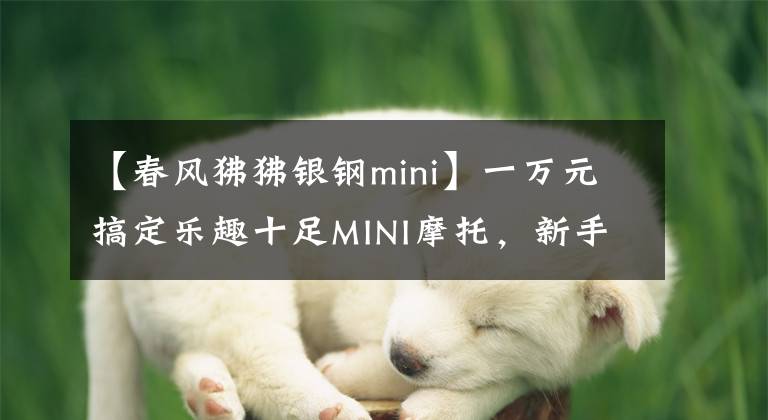 【春风狒狒银钢mini】一万元搞定乐趣十足MINI摩托，新手/妹子学车不犯难丨视界