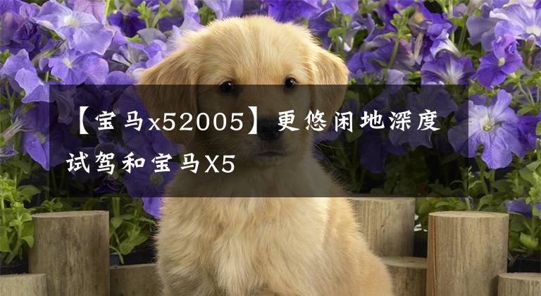 【宝马x52005】更悠闲地深度试驾和宝马X5