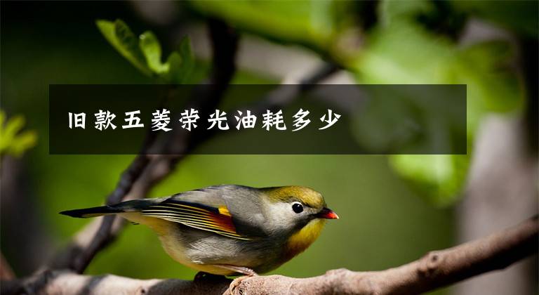 旧款五菱荣光油耗多少