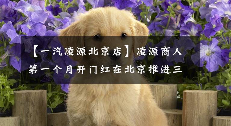 【一汽凌源北京店】凌源商人第一个月开门红在北京推进三大事业。