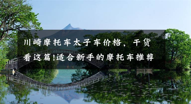川崎摩托车太子车价格，干货看这篇!适合新手的摩托车推荐——太子篇，价格从万元内到七八万不等