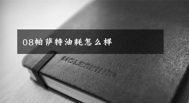 08帕萨特油耗怎么样