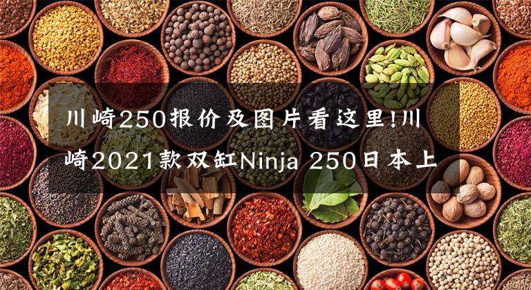 川崎250报价及图片看这里!川崎2021款双缸Ninja 250日本上市