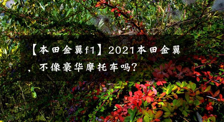 【本田金翼f1】2021本田金翼，不像豪华摩托车吗？