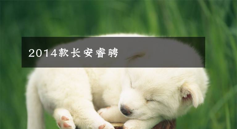 2014款长安睿骋
