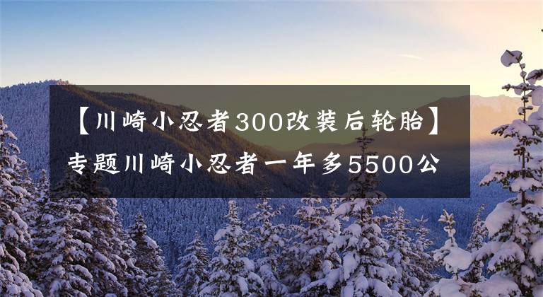 【川崎小忍者300改装后轮胎】专题川崎小忍者一年多5500公里小改装 分享心得