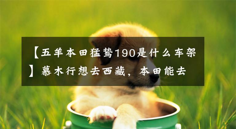 【五羊本田猛鸷190是什么车架】慕木行想去西藏，本田能去吗？这六个车主来告诉你答案