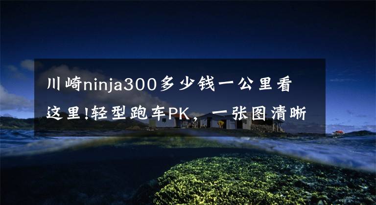 川崎ninja300多少钱一公里看这里!轻型跑车PK，一张图清晰对比RC390、NINJA300、CBR250RR和R3