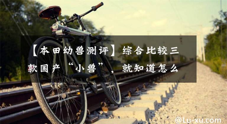 【本田幼兽测评】综合比较三款国产“小兽”，就知道怎么选择了？