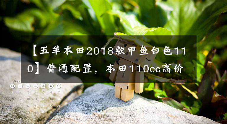 【五羊本田2018款甲鱼白色110】普通配置，本田110cc高价踏板分析：价格接近1.4万美元，但拥有出色的口碑。