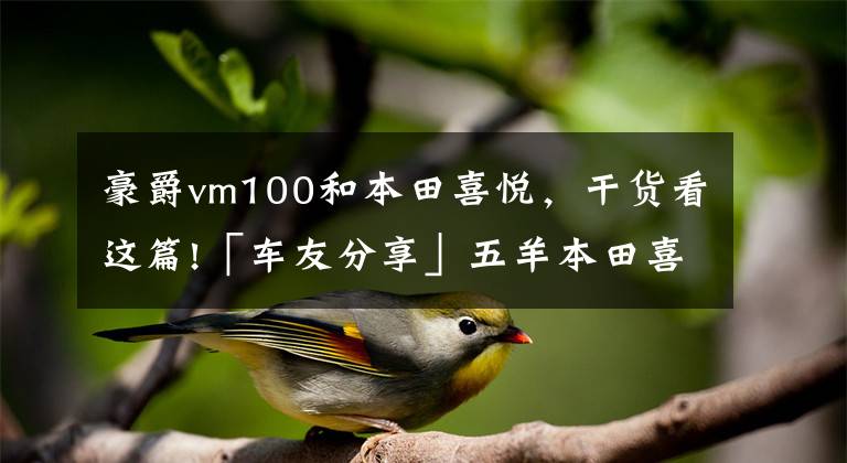 豪爵vm100和本田喜悦，干货看这篇!「车友分享」五羊本田喜悦100电喷近一个月用车感受