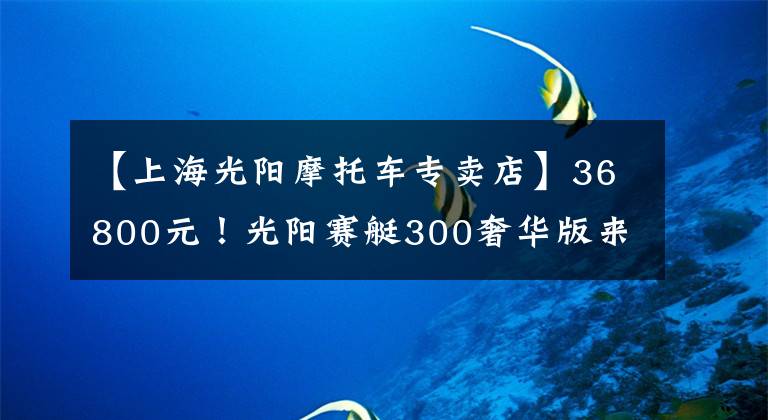 【上海光阳摩托车专卖店】36800元！光阳赛艇300奢华版来了！同时来的还有两款售价近2万的“小兄弟”！