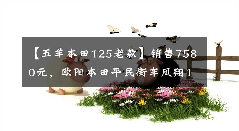 【五羊本田125老款】销售7580元，欧阳本田平民街车凤翔125，13L油箱，综合实力强。
