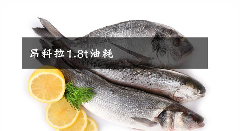 昂科拉1.8t油耗
