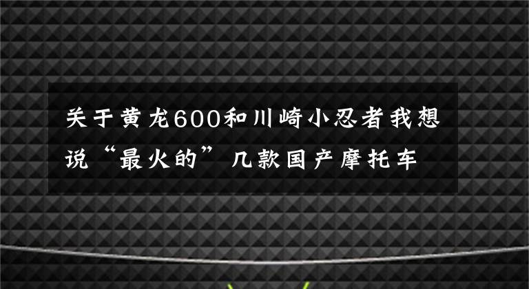 关于黄龙600和川崎小忍者我想说“最火的”几款国产摩托车，极具争议的网红车型
