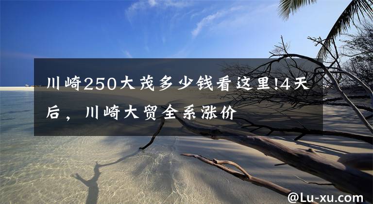 川崎250大茂多少钱看这里!4天后，川崎大贸全系涨价