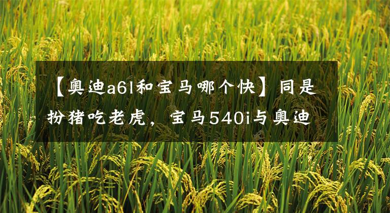 【奥迪a6l和宝马哪个快】同是扮猪吃老虎，宝马540i与奥迪A6L 55TFSI该怎么选？