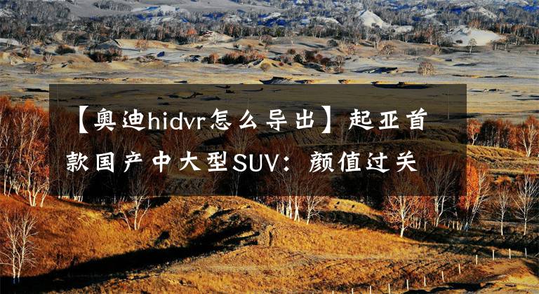 【奥迪hidvr怎么导出】起亚首款国产中大型SUV：颜值过关 细节提升