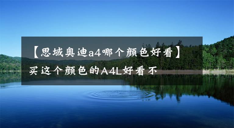 【思域奥迪a4哪个颜色好看】买这个颜色的A4L好看不