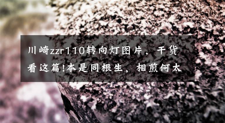 川崎zzr110转向灯图片，干货看这篇!本是同根生，相煎何太急！川崎摩托选车故事